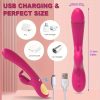 Sandfox Vibrating Rabbit Dildo, 10 Frequency Silent Vaginal Massage, G-Spot Stimulation, USB Powered, Rechargeable Lithium Battery, Adult Intimacy Toy, Wireless, 500mAh Capacity - Image 4